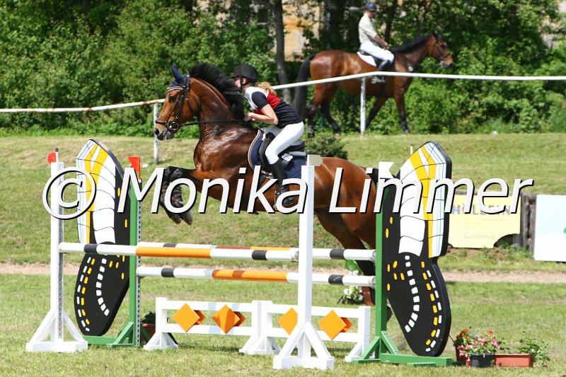 204M3680_Chins Dorado_Spring_L.JPG